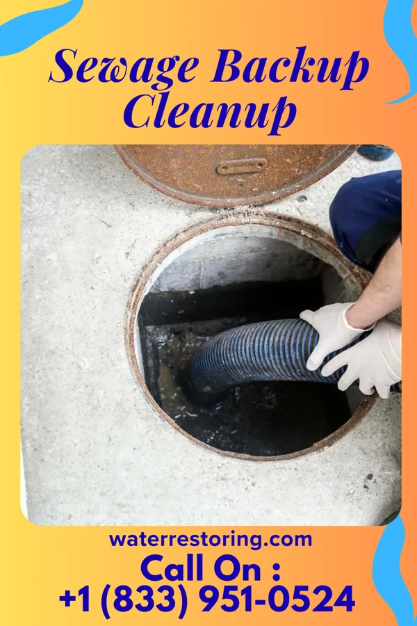 Sewage Backup Cleanup in Laguna Beach, CA